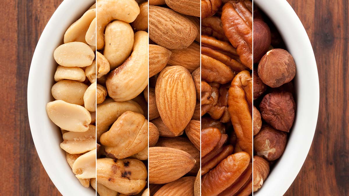 Agro-processing of nuts – AgriOrbit